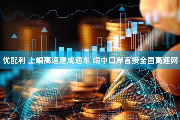 优配利 上峒高速建成通车 峒中口岸首接全国高速网