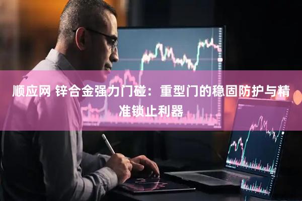 顺应网 锌合金强力门碰：重型门的稳固防护与精准锁止利器