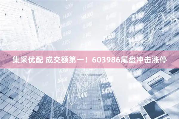 集采优配 成交额第一！603986尾盘冲击涨停